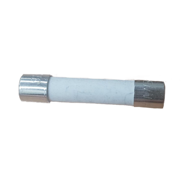 10 AMP CERAMIC FUSE